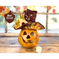 This is a hand carved gourd character for your fall table decorating. I have carved a happy face into the shell and made a autumn hat.